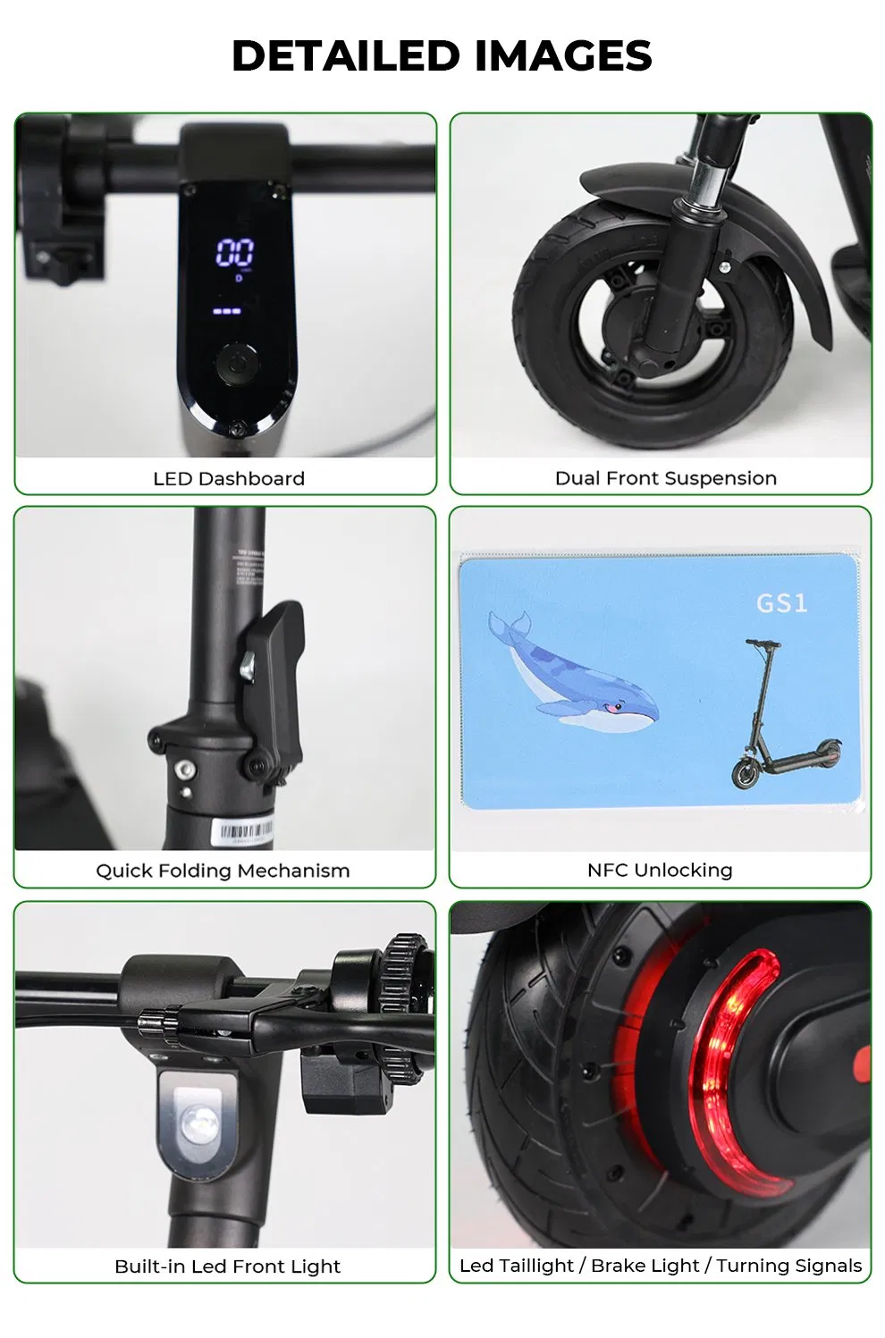 Electric Scooter Features