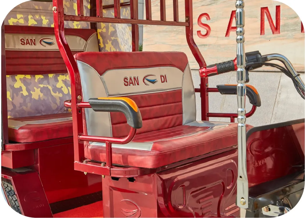 Electric Passenger Rickshaw Detail 2