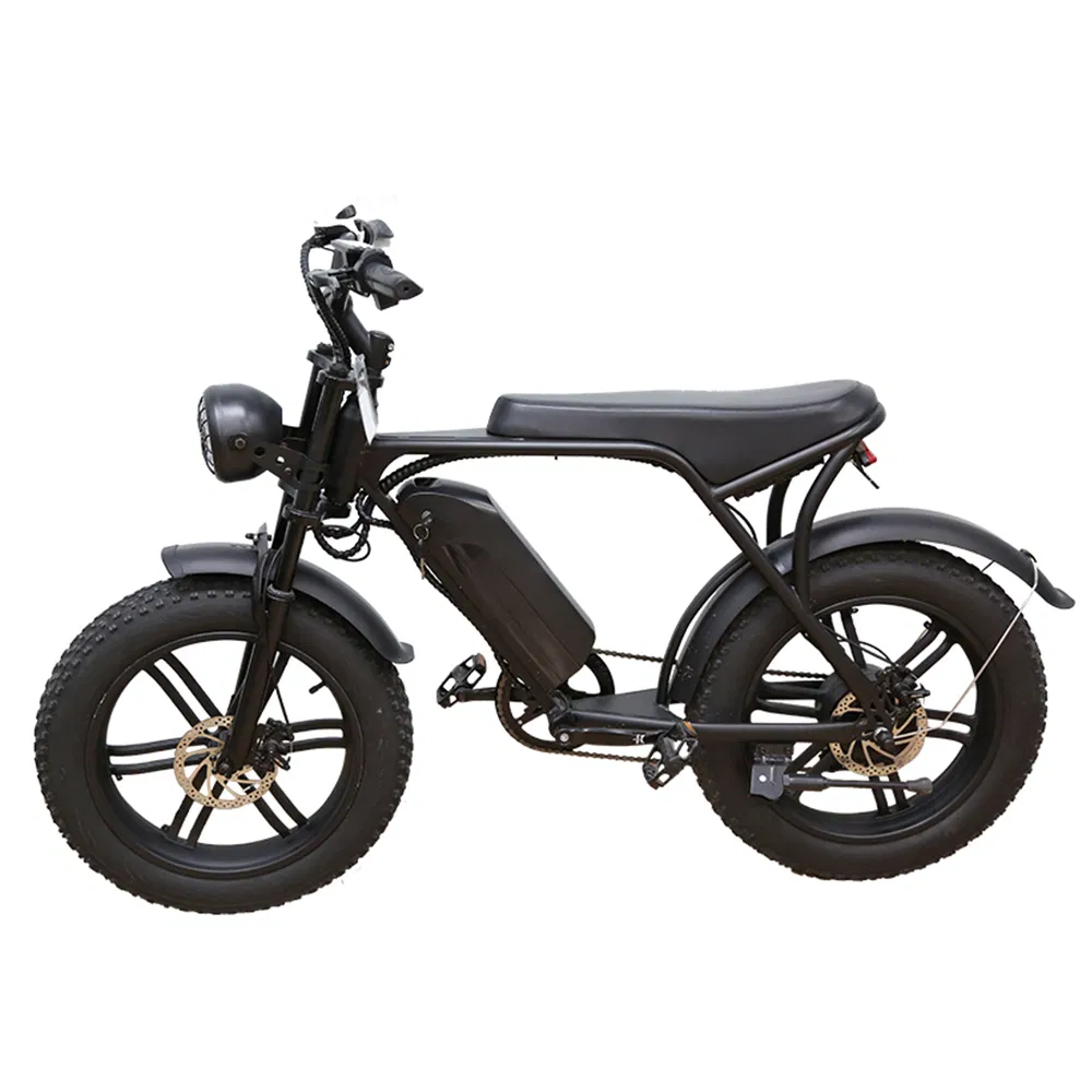 Wholesale Motorcycle Style Retro Dirt Electric Bike 20 Inch Fat Tire Ebike with 500W Brushless Motor 48V Lithium Battery