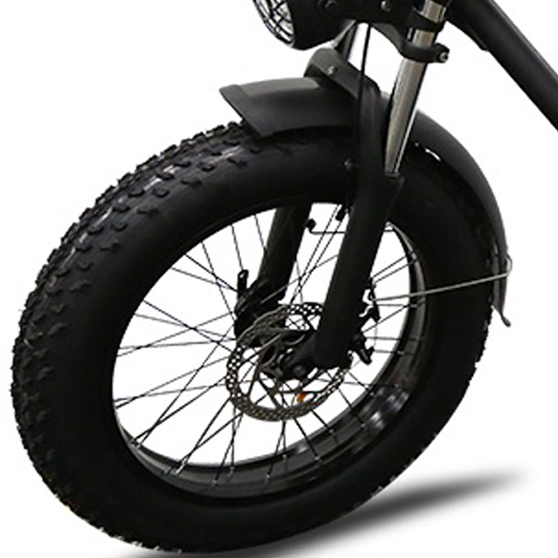 Brushless 20*4.0 Gravity Shengzhen, China Commuter Drit Electric E Bike with Factory Price