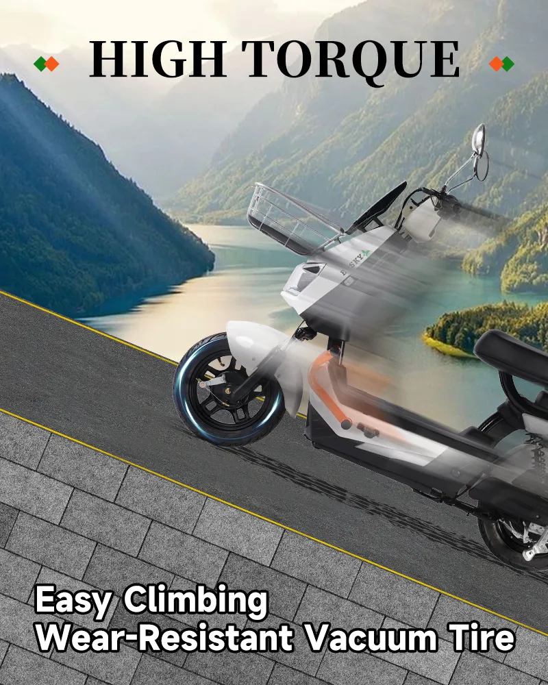 Electric Scooter Back