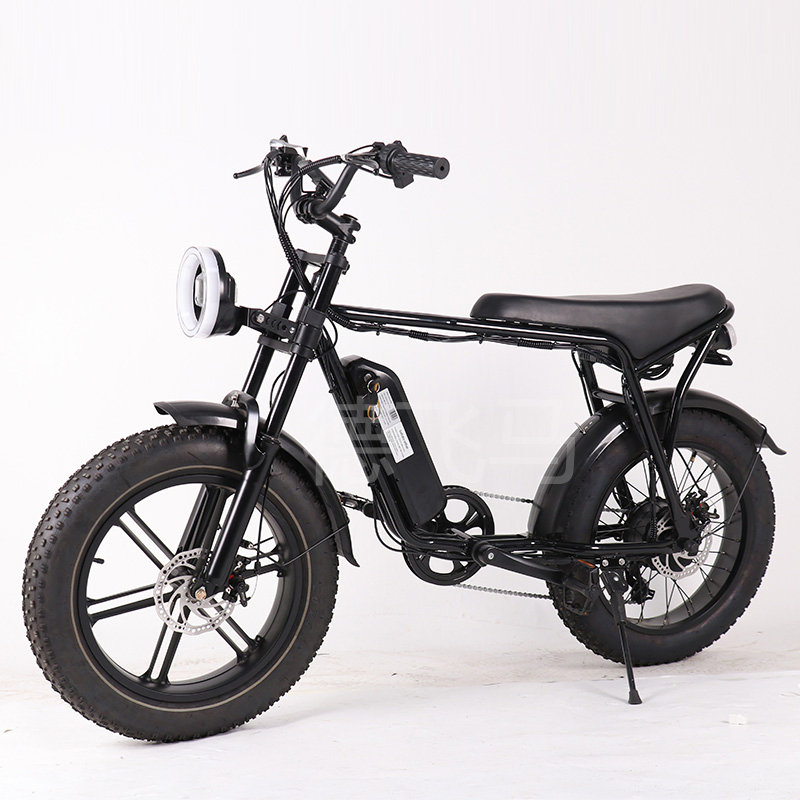 Luxury Electric Fat Tyre Dirt Road Beach Moped Bike E Bike Bicycle