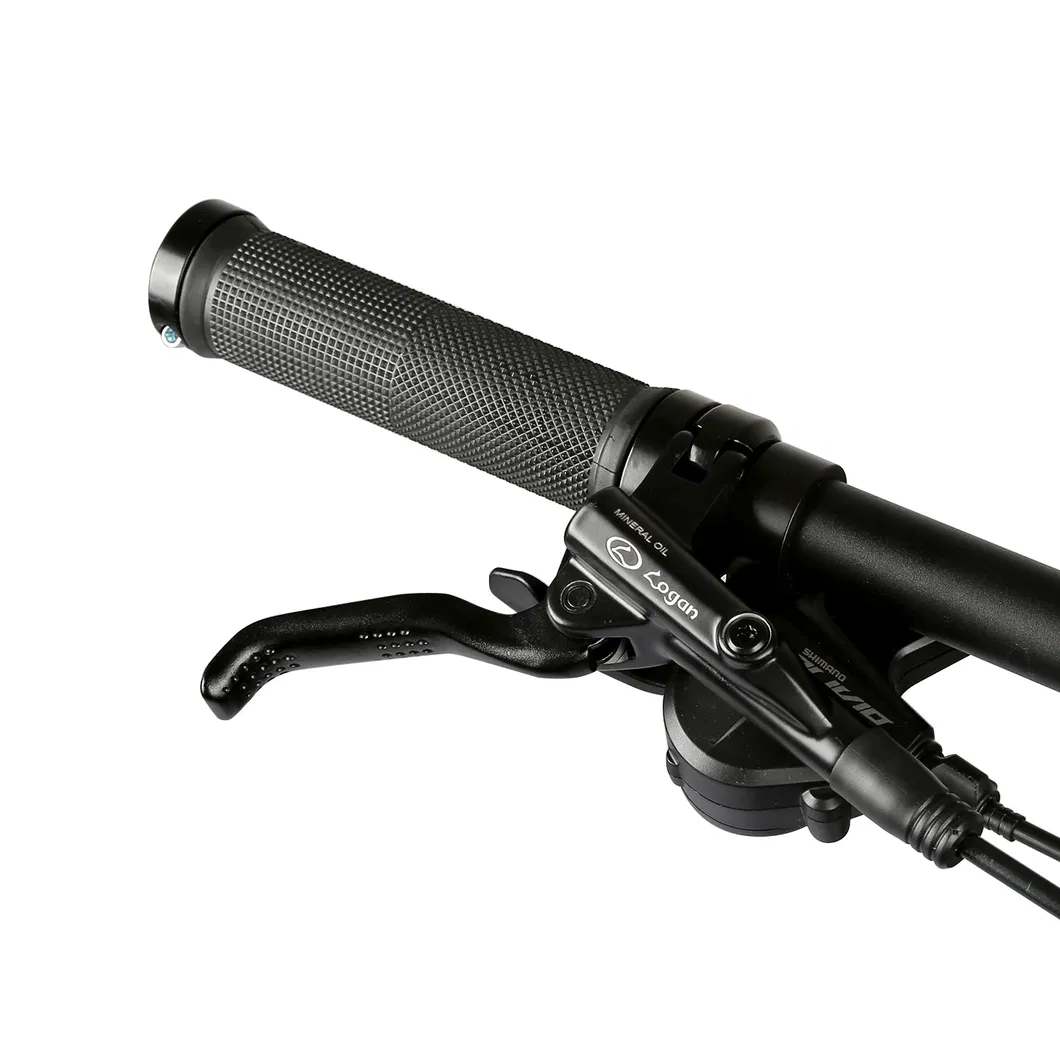 Off-road Electric Bike