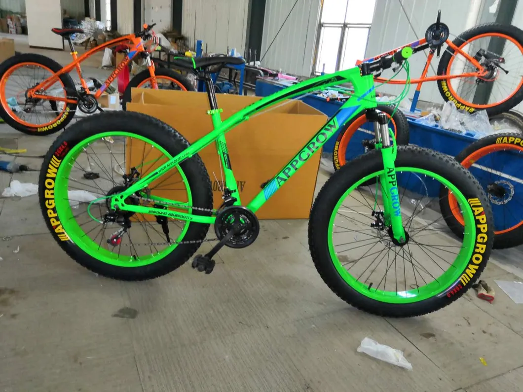 Mountain Bike Detail 2