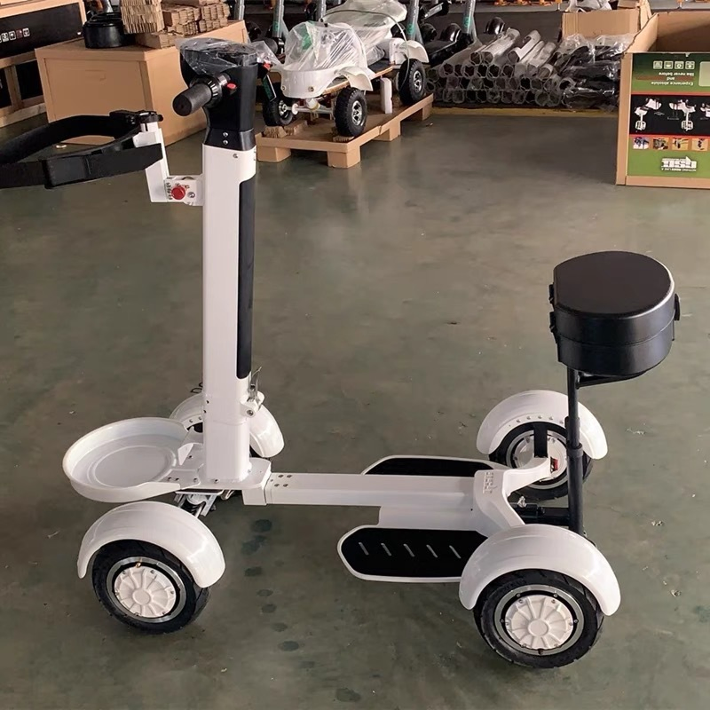 Electric Scooter Golf Club 48V 14ah Samsung Battery Electric Golf Skateboard