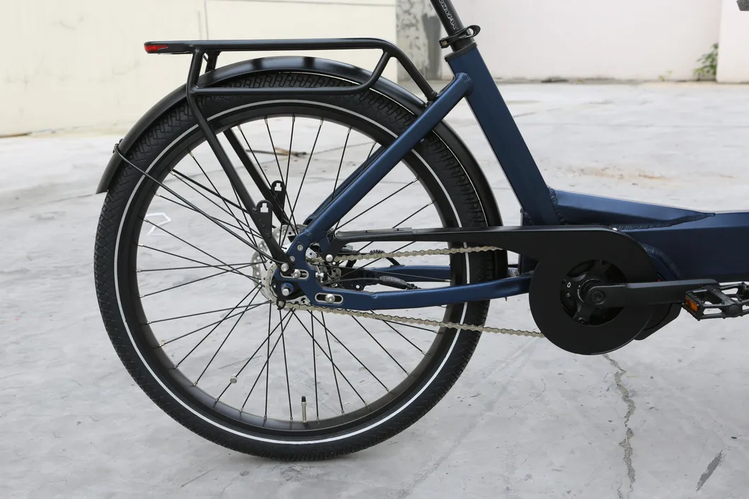 Cargo Bike Side View