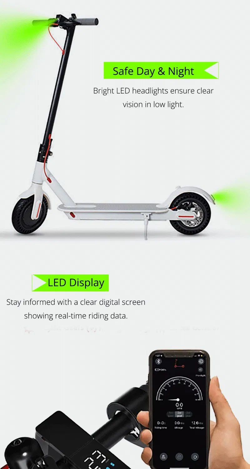 Electric Scooter Detail