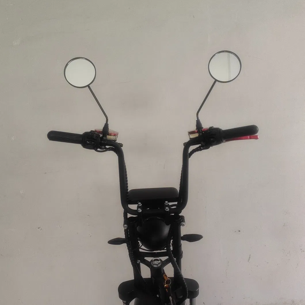 Electric Scooter Design