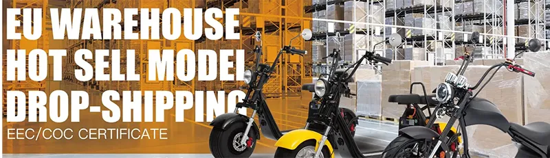 Foldable Scooter Features