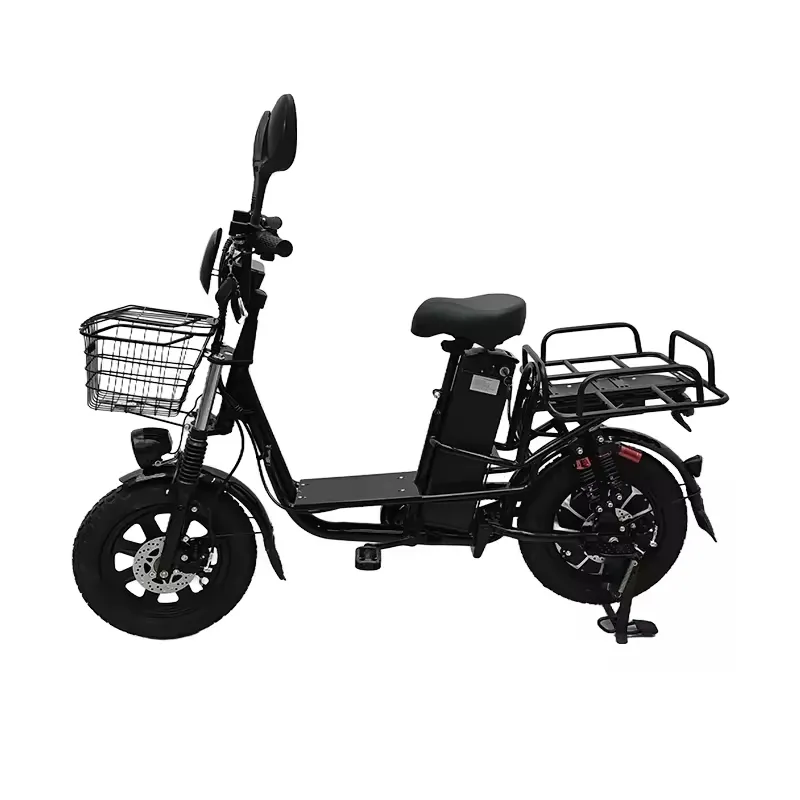 Electric Delivery Bike