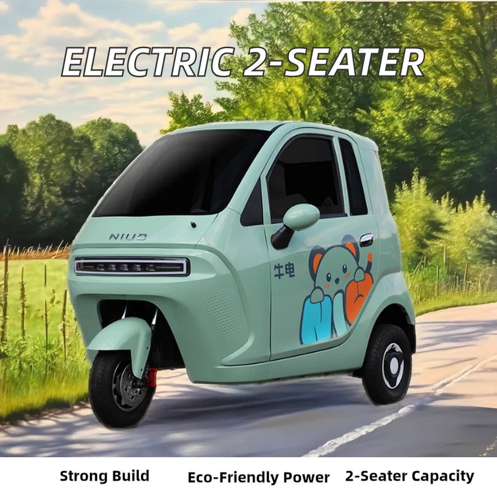 Electric Adult Tricycle Front View