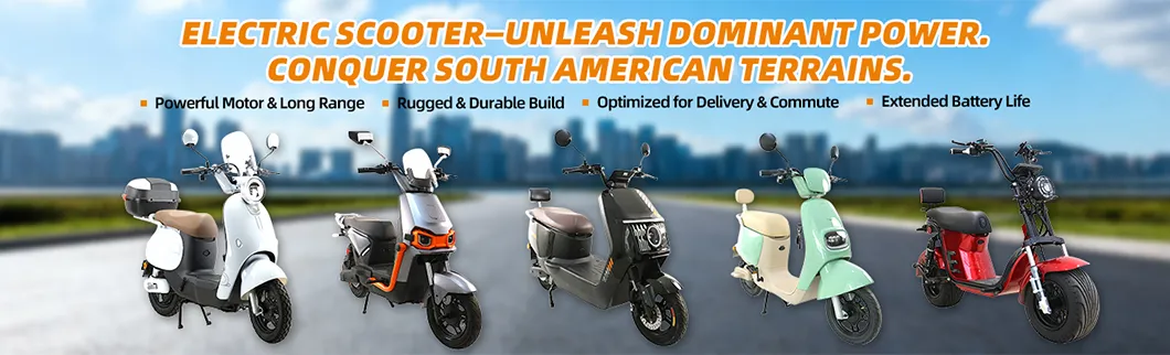 Electric Bicycle Banner