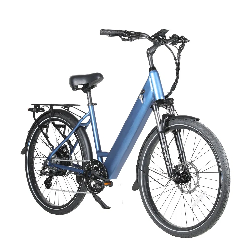 Electric Bike View 1