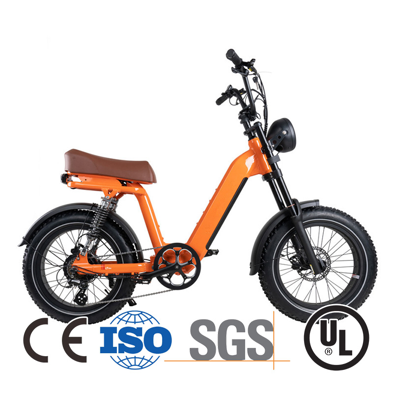 2000 Watt Ladies Commuter Good Electric Bicycle From China