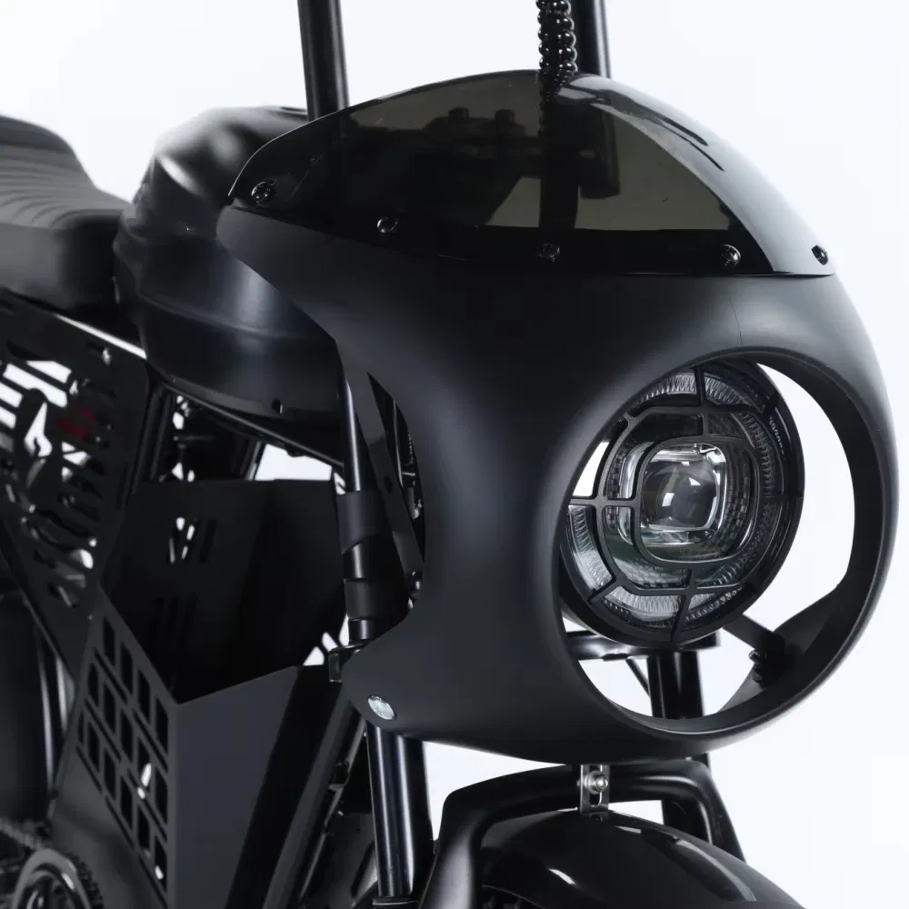 Electric Bike Photo 5