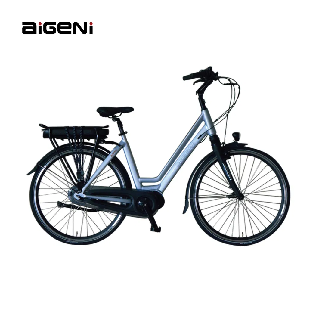 Electric City Bike View 1