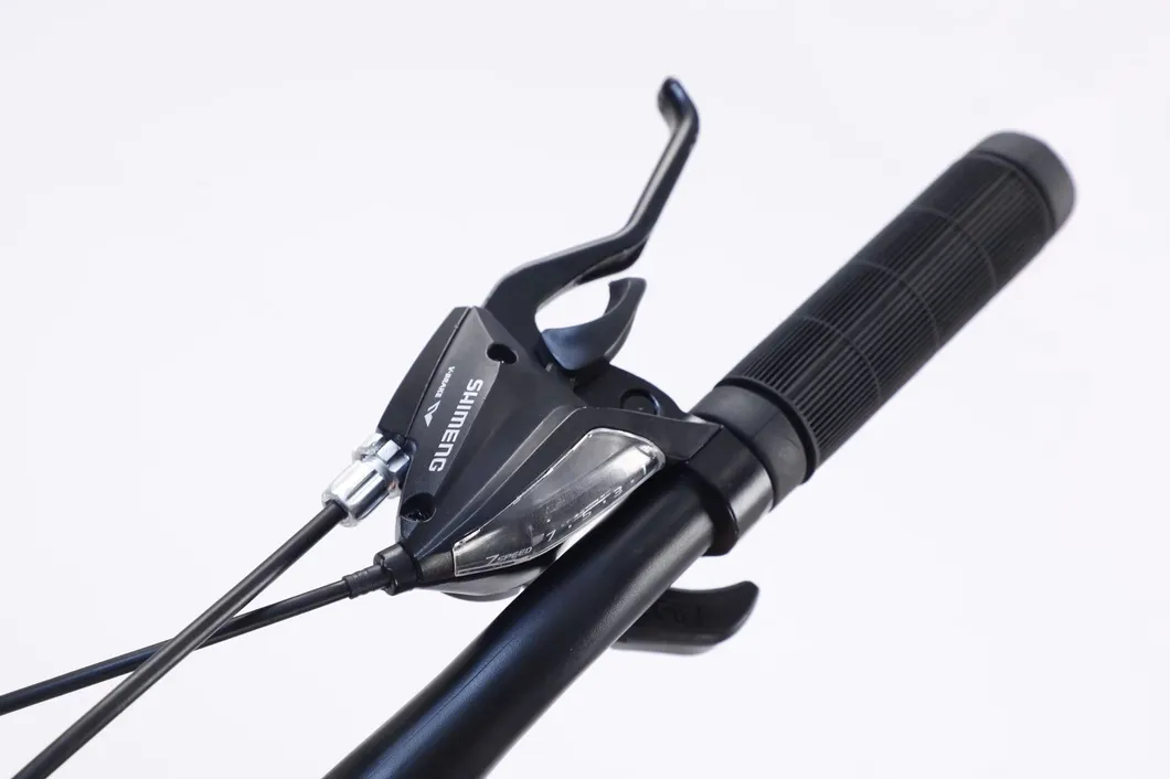 Mountain Bike View 2