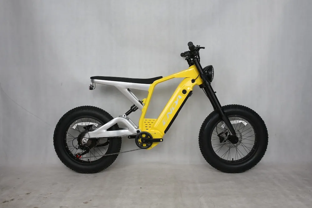 Electric Bike View 1