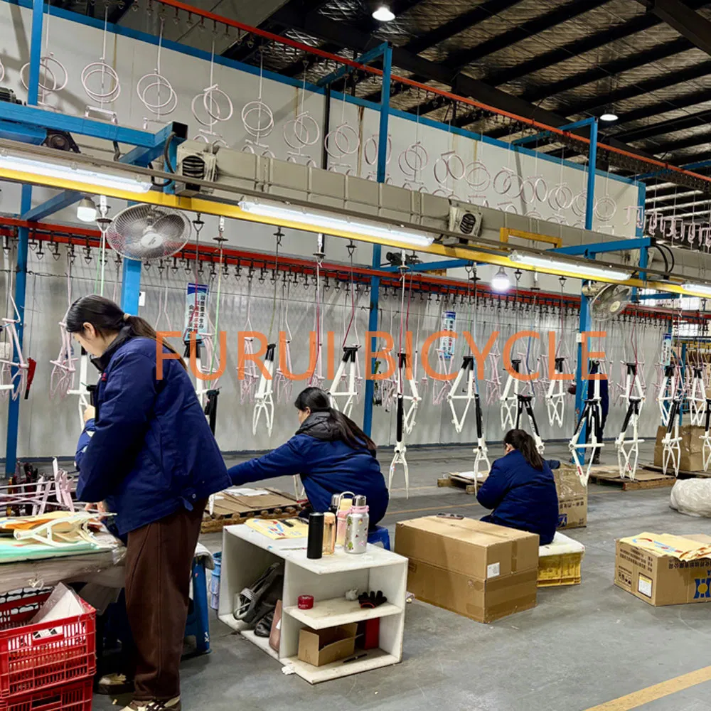 20" Commuter Folding Bike Portable Ebikes for Adult 36V 250W Li Battery OEM ODM