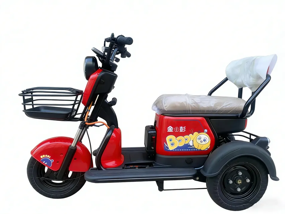 Electric Cargo Tricycle View 1