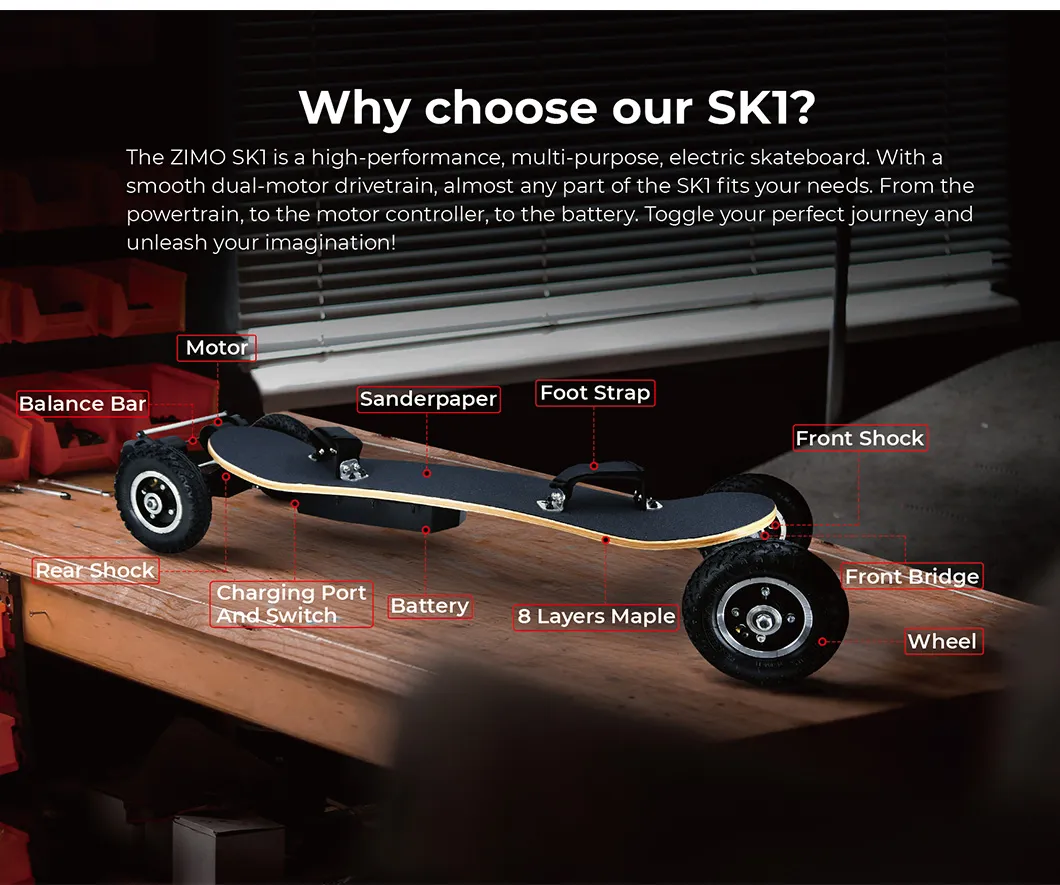 Off Road Electric Skateboard Control