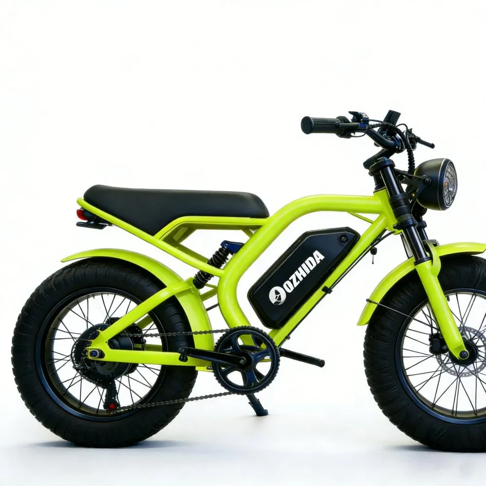 Motorcycle Dirt Electric Bike 20 Inch Fat Tire Ebike with 500W 48V/15ah Lithium Battery