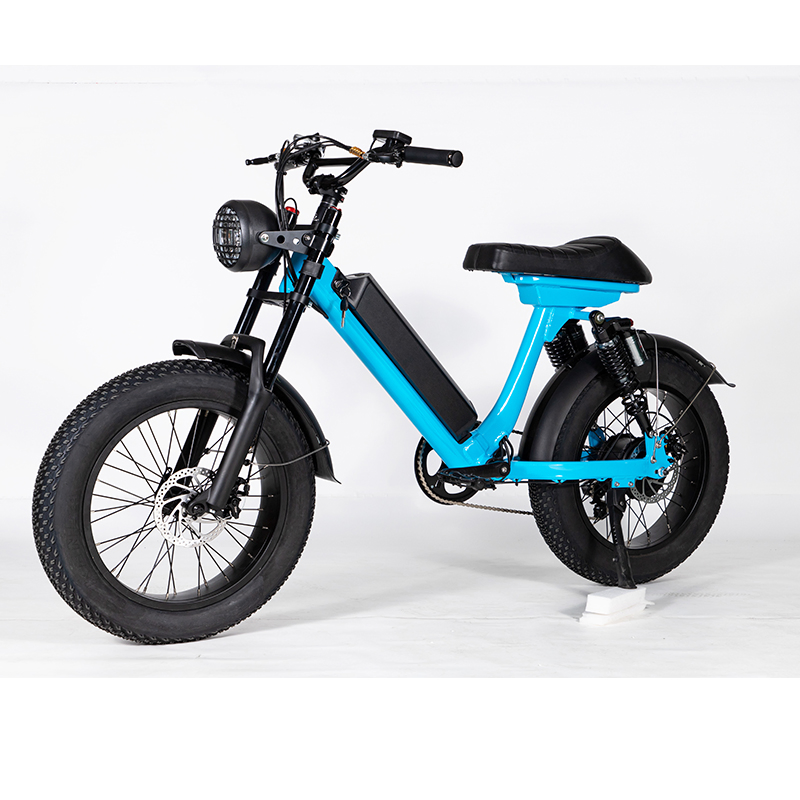 Convenient Light Electric Bike for Adult Commuter Customizable Colors