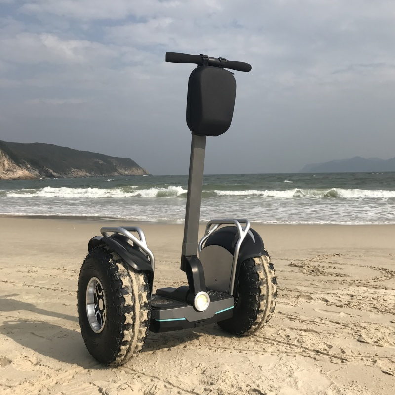 20inch Offroad Adult Two Wheel Golf Electric Self Balance Scooter Electrical Scooter