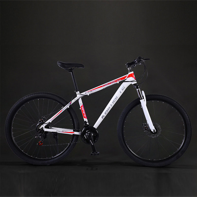 High Quality Fashion Mountain Road Adult Bicycle Mountain Bike