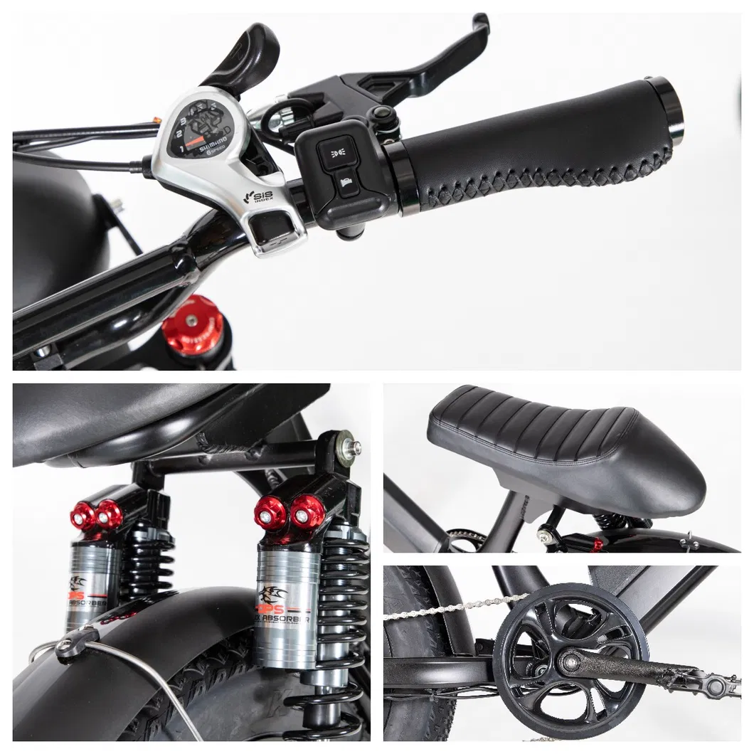 Electric Bike Photo 5