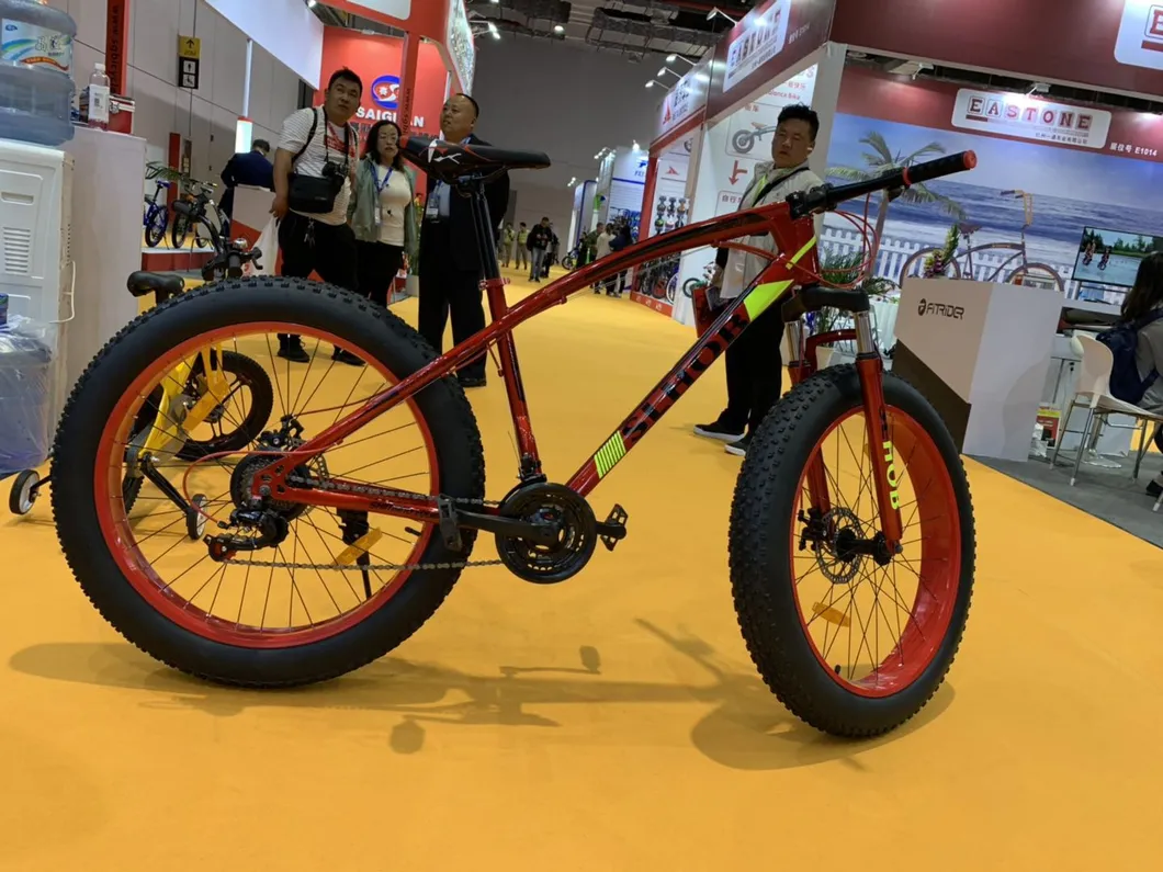 Mountain Bike Detail 1