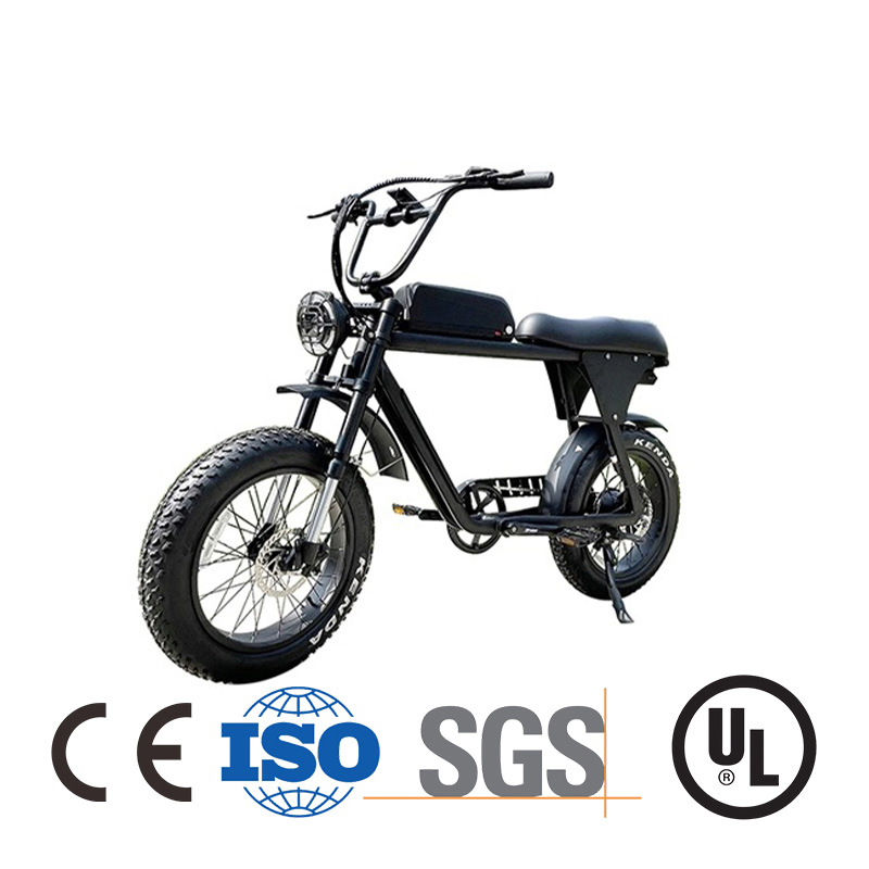 2000 Watt Ladies Commuter Good Electric Bicycle From China