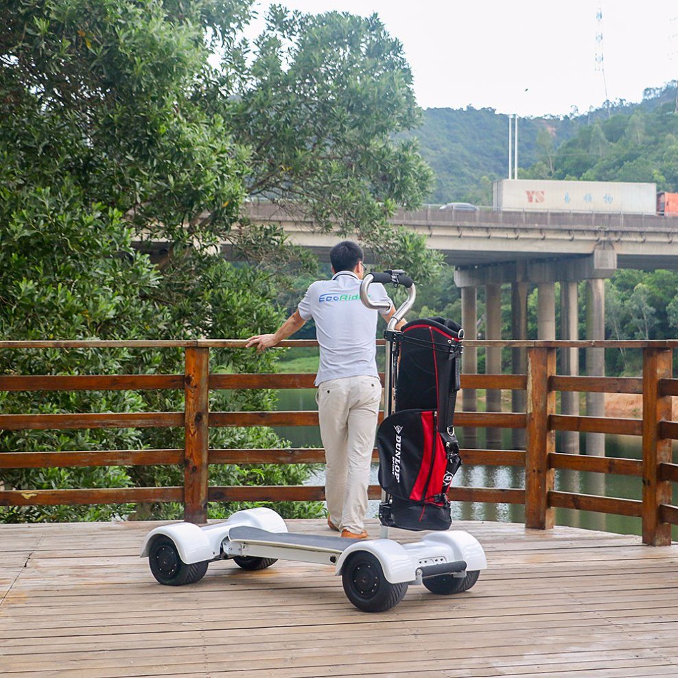 2000 Watt 4 Wheels Electric Mobility Scooter Golfboard Electric Skateboard