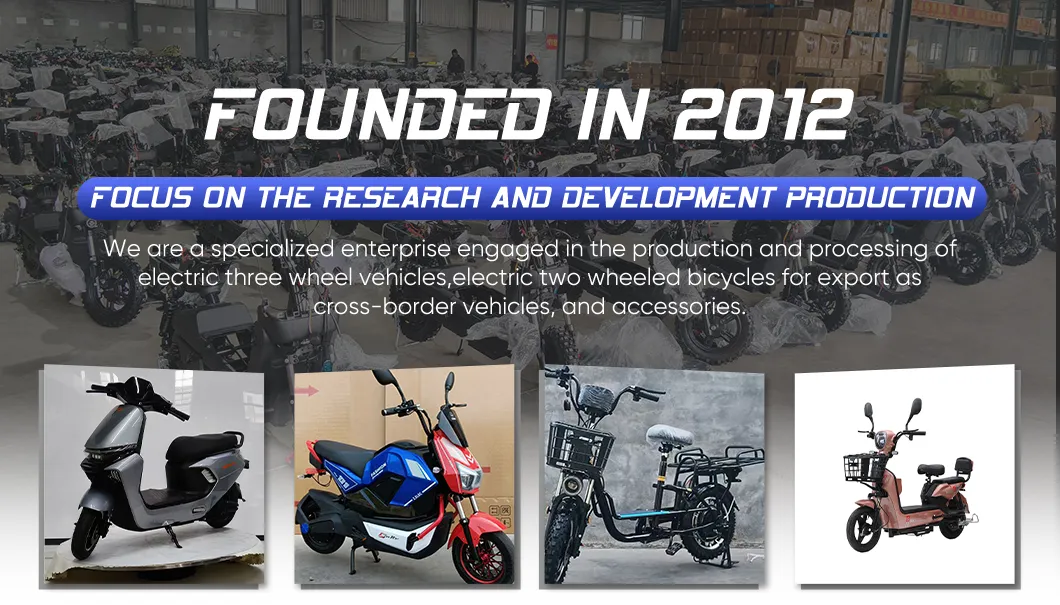 Cargo Motorcycle E-Bike