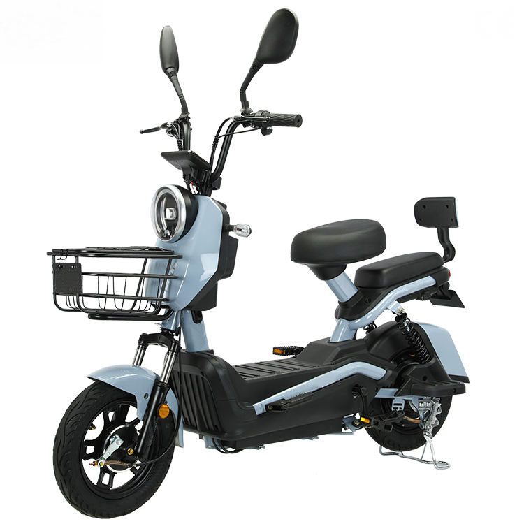 Adult Electric Mountain Bike for Road and off-Road Moped Riding