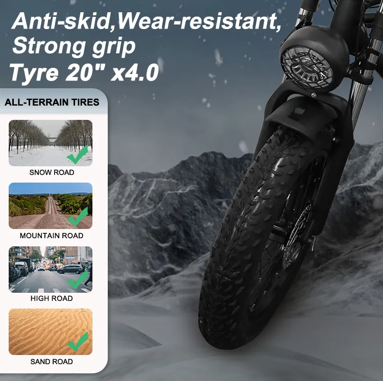 Electric Bike View 7