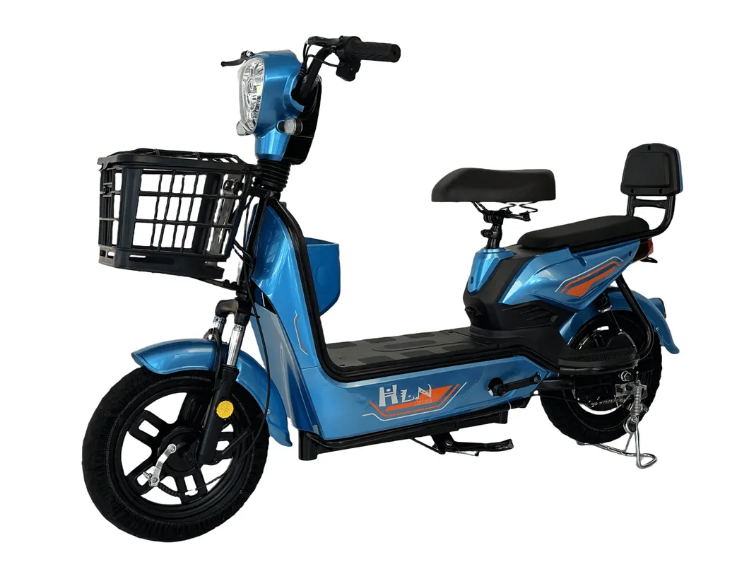 Electric Bike Main View