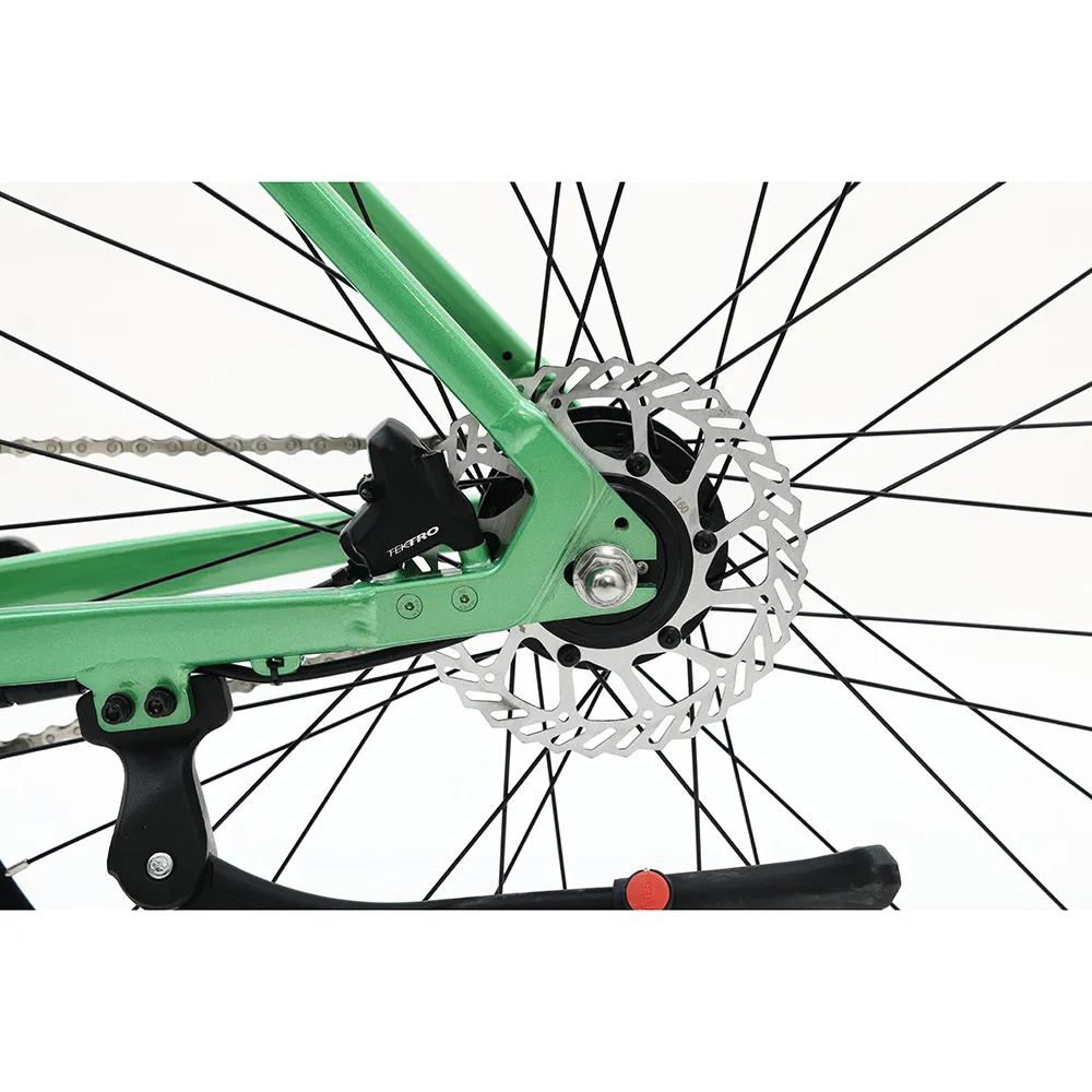 Light Weight Step Through Electric Bike Commuter Bike Sports Bike City Bicycle Ebike