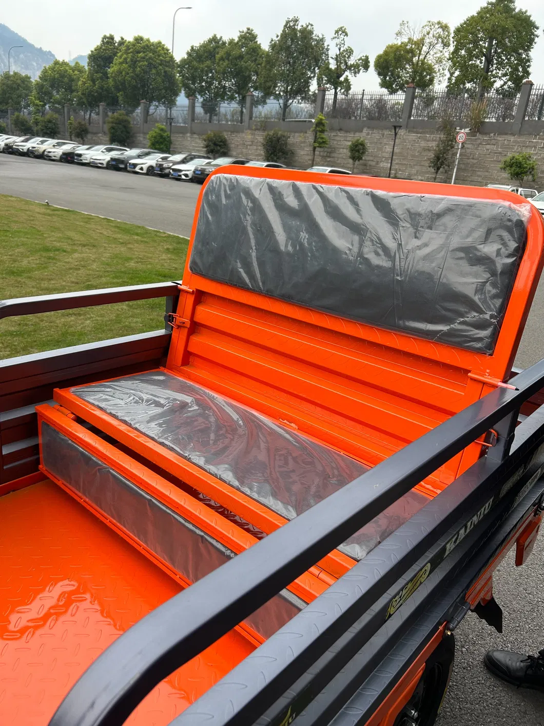 Electric Trike View 1