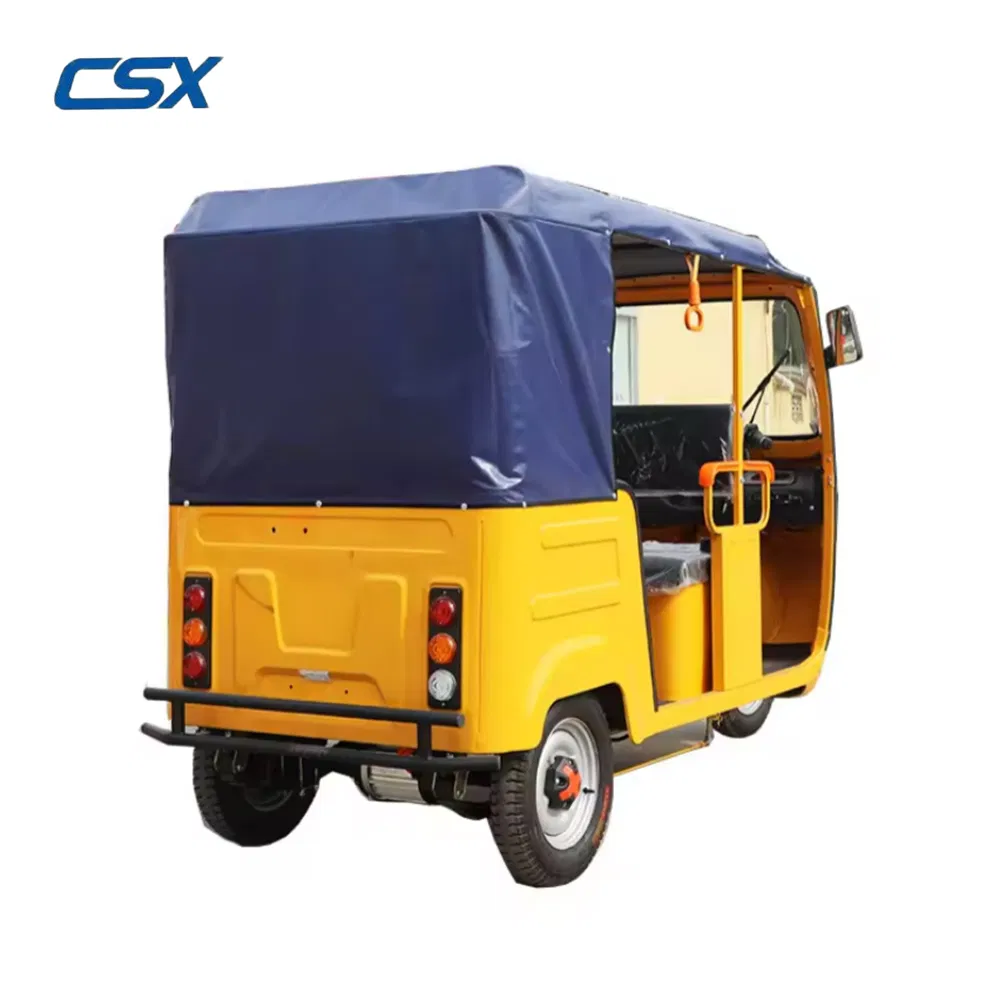 Park Stone Pavement Climbing Mountainous Areas Electric Trike for People and Cargo