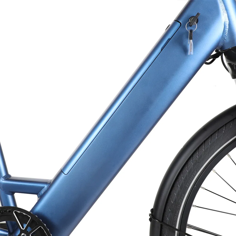 48V Step Through Electric Road Bike Hidden Battery Electric Hybrid Bike Electric City Bike