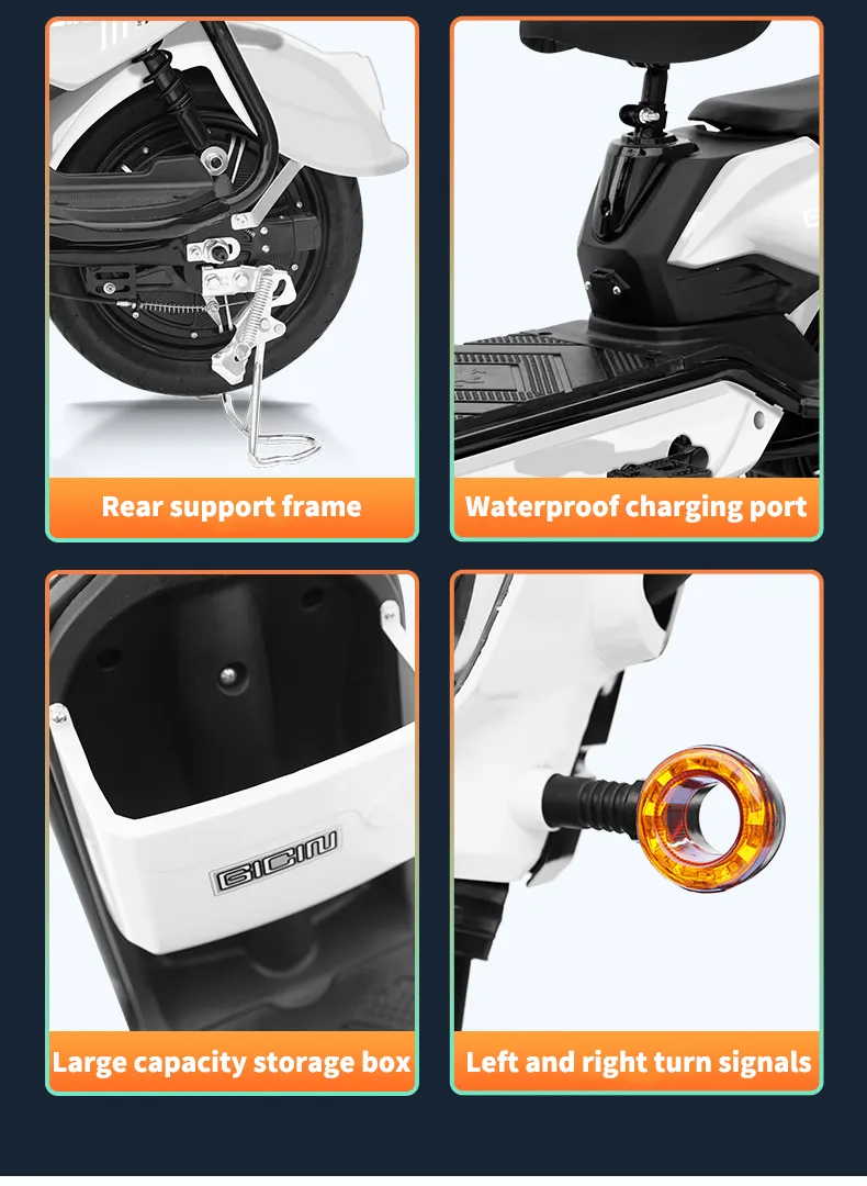 Electric Bike Details 11