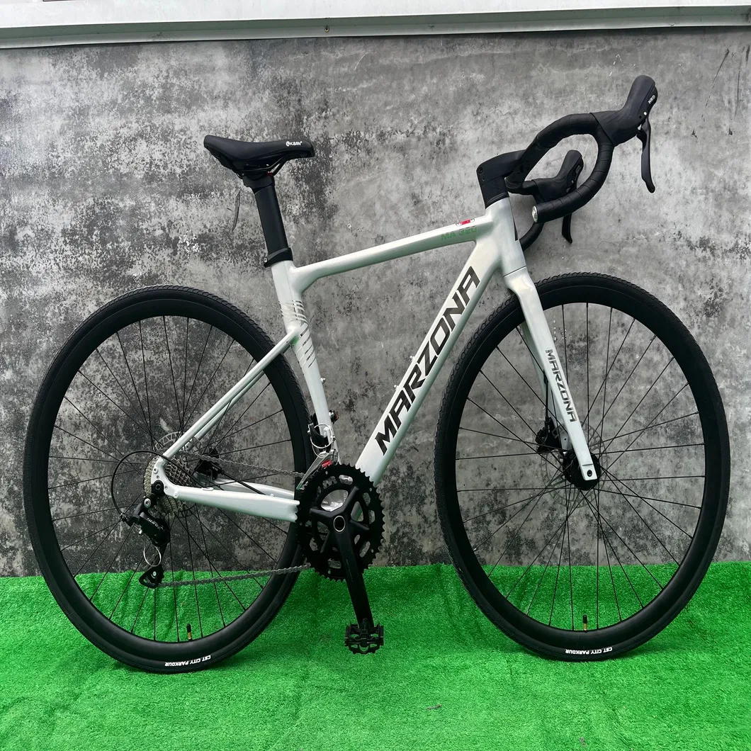 Professional Road Bike View 1