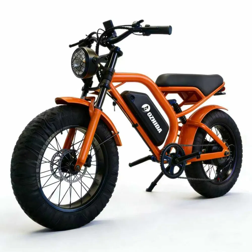 Motorcycle Dirt Electric Bike 20 Inch Fat Tire Ebike with 500W 48V/15ah Lithium Battery