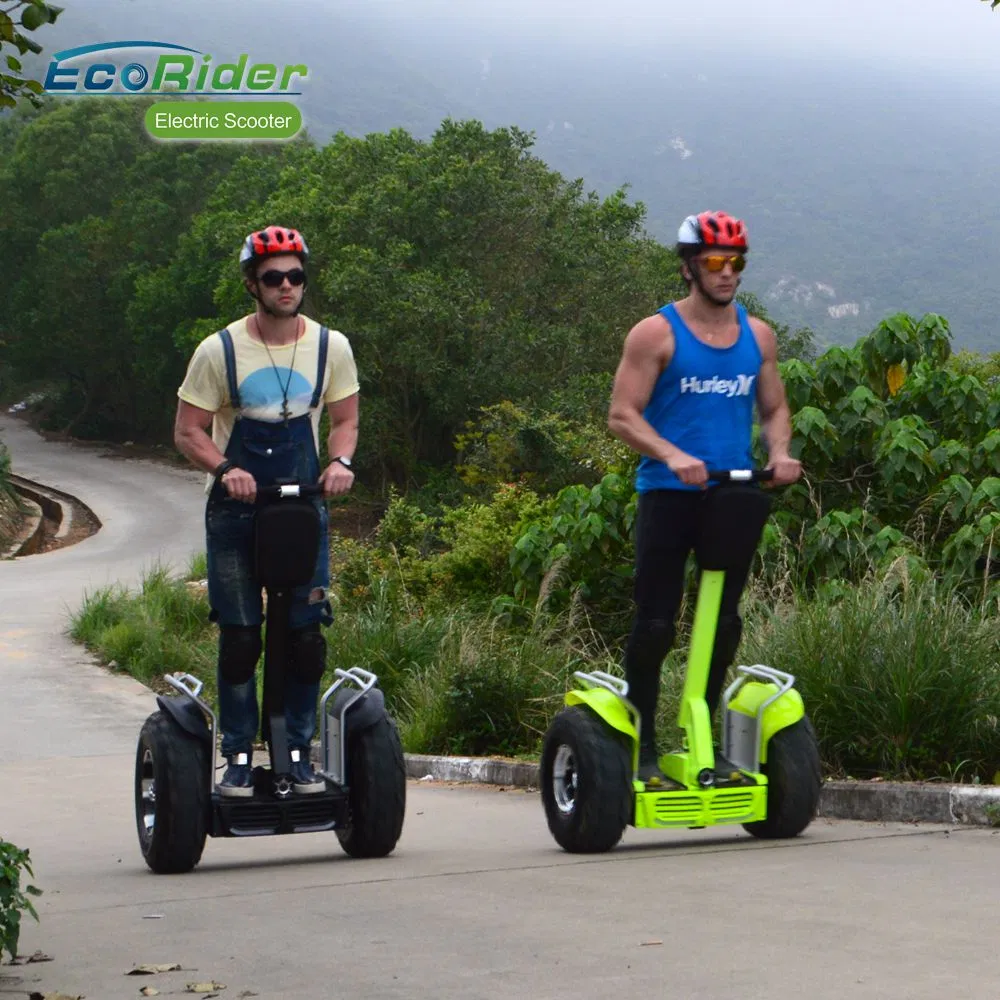 New Design off Road 2 Wheel Electric Self Balancing Scooter