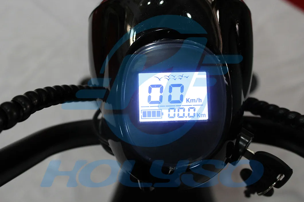 Electric Scooter View 4