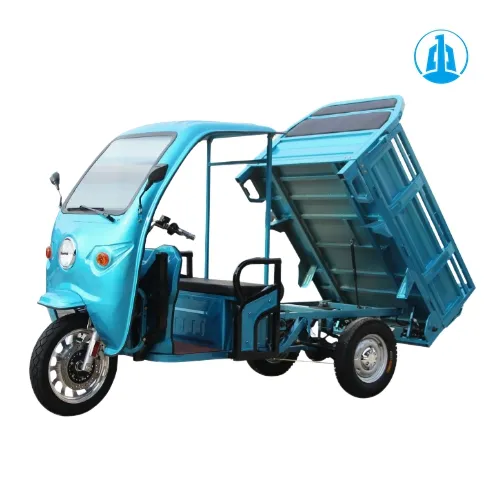 Electric Trike Side View