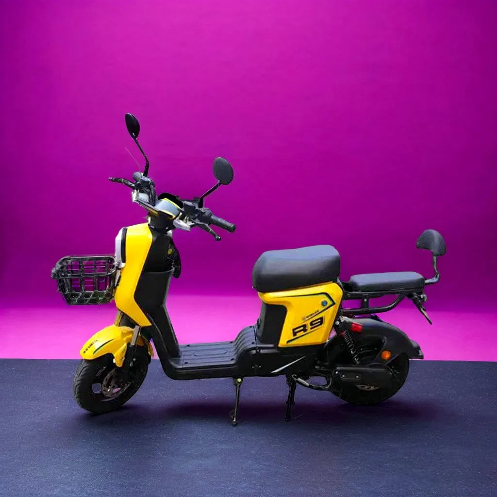 City Electric Bicycle 48V 20ah Electric Road Bicycle Adult Electric Bicycle