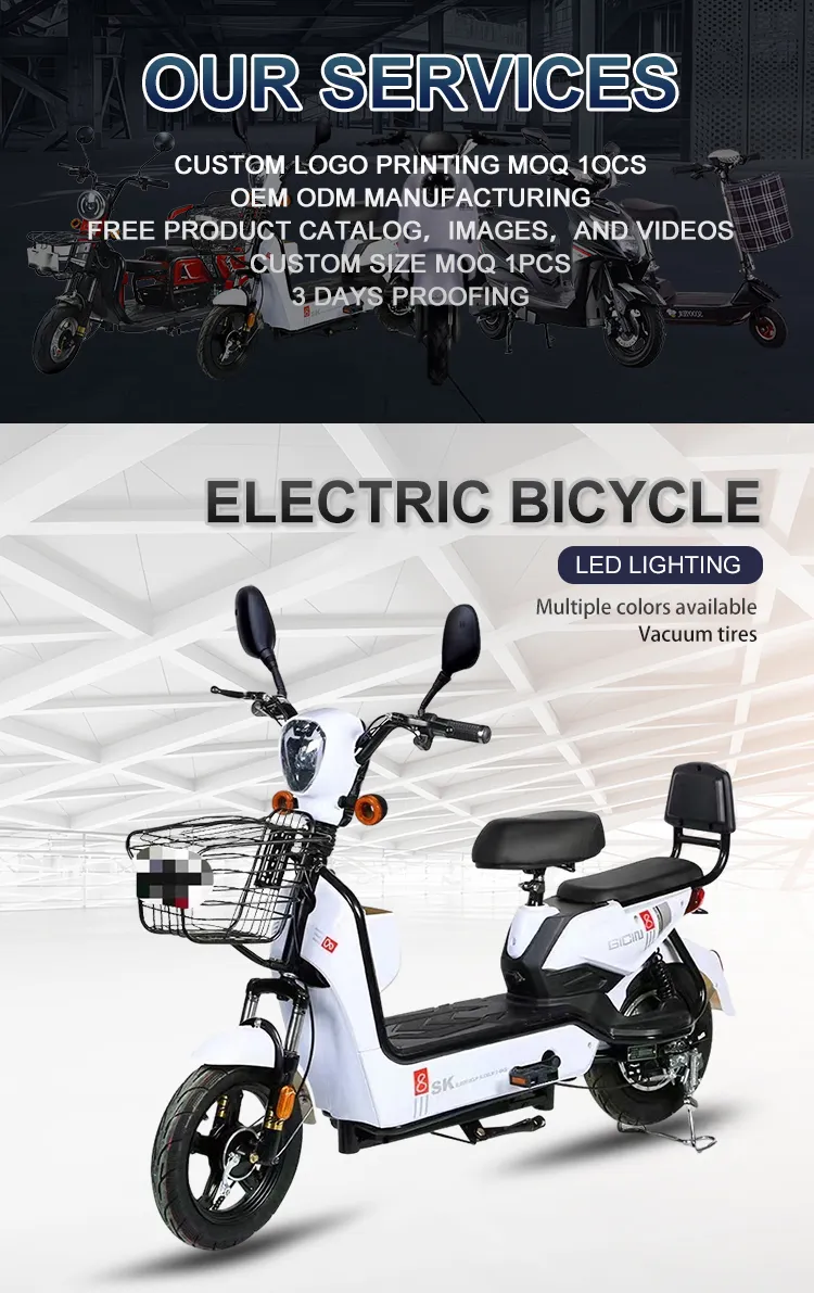 Electric Bicycle