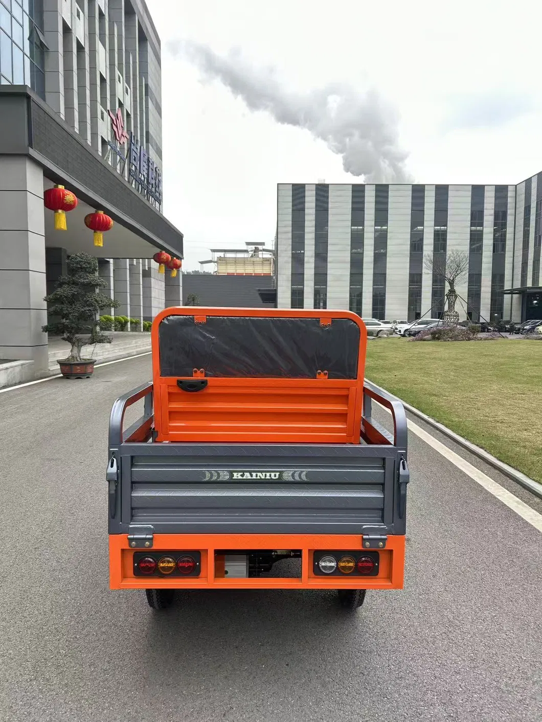 Electric Trike View 10